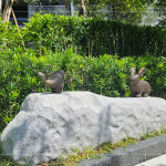 座落於大塊森濤景觀庭園後方的街道家具，以大自然生態(tài)為靈感創(chuàng)作《河畔青青》，建立起土地與建築的對(duì)話，承載人們愜意悠然的片刻。