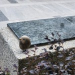 選用基地的石頭來做街道家俱，運(yùn)用此塊土地生長(zhǎng)出來的原石，透過人的創(chuàng)造，分享土地與建築之間的對(duì)話及溫暖守護(hù)的連結(jié)。 