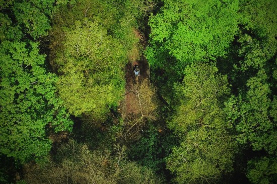 鳥瞰東光園道光景，築森鄰以氧森綠海為伴。