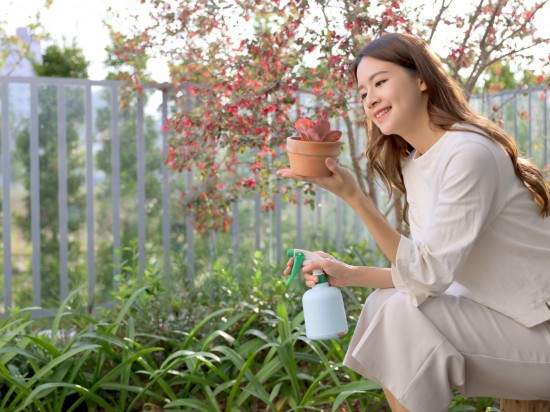 捧起微景，端看大塊美景的縮影。葉片勃發(fā)、欣欣向榮，與『大塊森濤』的靜好歲月相呼應(yīng)。