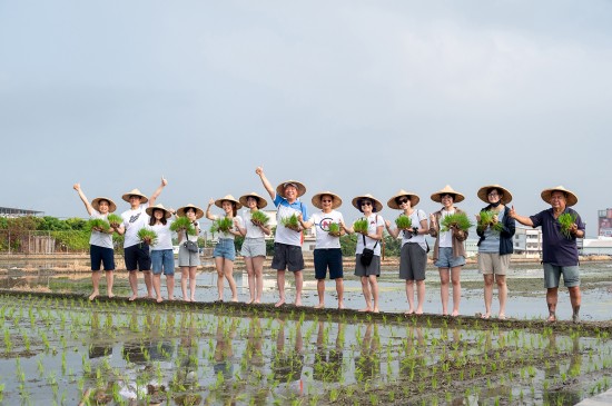 大暑之日，新業(yè)建設(shè)的大家長 穆椿松名譽(yù)董事長(右七) 與 卓勝隆董事長(右六)帶領(lǐng)各部門同仁，一大清早，來到契作認(rèn)養(yǎng)的霧峰田間，體驗(yàn)農(nóng)家插秧盛事。