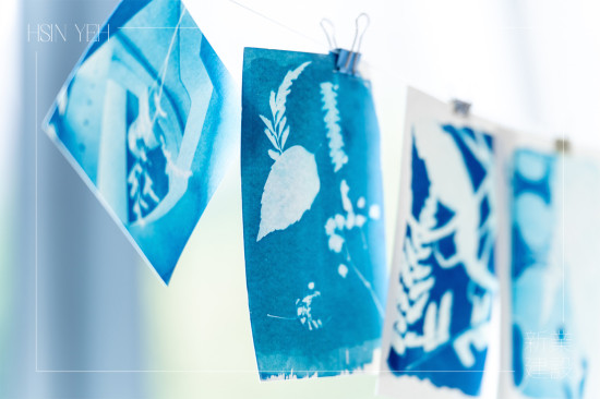 將明信片一字排開，藍(lán)與白的濃淡交織，映照出每位住戶獨(dú)特的創(chuàng)作築跡。