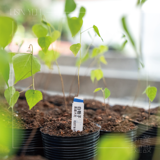 『臺灣山林復(fù)育協(xié)會』，核心目的是推動本土的生態(tài)教育，進(jìn)行自然棲地的保護(hù)，在地種源的復(fù)育，及推動廢耕山坡地順應(yīng)演替復(fù)育為自然森林的工作。