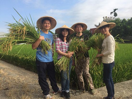 手握一畝田，回以這片土地最敬虔的溫柔。