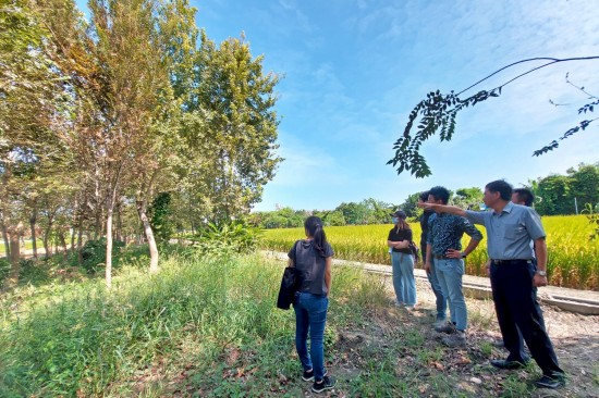 在一個風(fēng)和日麗的早晨，新業(yè)職人團隊一同來前往彰化，為『築之細道』嚴選出符合心中理想的樹木。