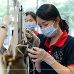 用雙手炙熱的溫度，一捏一壓，棉繩編綁，一串串的美好心意，在佳節(jié)時(shí)刻為長輩們獻(xiàn)上祝福。