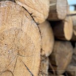 細(xì)看木紋的肌理、柔和，展現(xiàn)獨一無二的歲月，自然色澤，不僅帶來舒心感受，也能提升居家空間質(zhì)感。