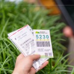 當(dāng)天新業(yè)職人們不只親力親為的為大肚山種下希望的樹苗，也捐出發(fā)票，為臺(tái)灣淺山森林再出一份力，也邀請(qǐng)更多的人一起關(guān)注 ＃我愛山林_5230。