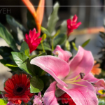 良辰吉日，透過聲聲祝禱，繫起天地與人之間的對話，期盼2024年完工的【築森鄰】完美收尾。