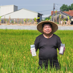 支持霧峰在地三代小農(nóng)－翁良材先生，企業(yè)化的經(jīng)營模式，堅持品質(zhì)、嚴(yán)選品種，讓稻田直達(dá)餐桌，品嘗最純粹的米香。