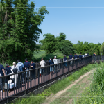 南勢溪集水面積約9.53平方公里，水質(zhì)良好，周圍仍保留自然生態(tài)風貌，水利局打造1.8公里長的河流與綠親水廊道，透過廊道下到溪邊與自然更加親近。