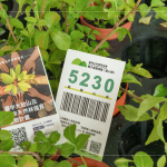 當(dāng)天新業(yè)夥伴們不只身體力行的為苗木進(jìn)行換盆作業(yè)，也捐出發(fā)票，為臺灣淺山森林再出一份力，也邀請更多的人共同關(guān)注 ＃我愛山林_5230。