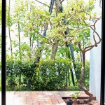 伴隨撒落的陽光，窗外的綠意一片欣欣向榮，樹木彷彿張開雙手迎接著復甦的恩賜。