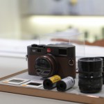 雖然有時不適合出外踏青，但社區(qū)中處處是美景，以此為景，按下相機(jī)快門，攝入家人最美的笑靨與最可愛的Pose吧。