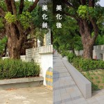 「幫近20棵的茄苳樹換新家」－因原有的花臺過小，喬木生長空間有限，新業(yè)團(tuán)隊(duì)重新打造舒適的巢穴。