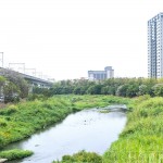 與家族相聚於西屯路永安橋的筏子溪，即將在此展開一場意義非凡的生態(tài)保育行動。
