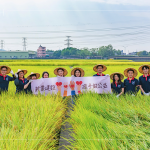 邁入第14年的契作認(rèn)養(yǎng)，以友善農(nóng)法耕作，保障農(nóng)友收益也為環(huán)境留下良田。