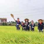 每逢秋旬，稻田阡陌相連，瀰漫著稻草與泥土的芬芳，成就了一串串飽滿稻穗，在秋收時節(jié)，一同感受來自大地的禮贊。