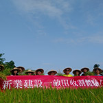 一同體驗農(nóng)夫莊稼收割