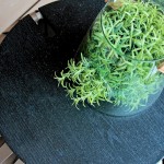 春天的指尖輕輕撫上玻璃罐，紛紛的綠意藏不住，也竄出枝枒熱情回應著春天的問候。