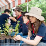確切的紀(jì)錄樹(shù)苗品種及分盆日期，分盆完的小樹(shù)苗會(huì)統(tǒng)一放在中央培育區(qū)，待長(zhǎng)到30CM至1M再種到大肚山。