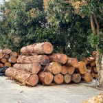 透過素材再利用，延續(xù)了木材的價值，新業(yè)積極響應(yīng)永續(xù)發(fā)展，打造與自然共存的建築。