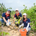 新業(yè)建設(shè) 邱正光 副總經(jīng)理(圖中)攜手各部門同仁，益起為大肚山森林當(dāng)起生態(tài)志工。