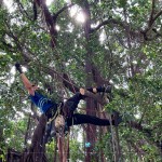 樹林中的「蜘蛛人」，利用腳鎖式（Footlock）快速攀升到切點(diǎn)，時(shí)而擺盪、時(shí)而穿梭林間，其中技巧有著大大學(xué)問。