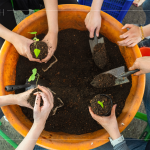 復(fù)育森林，並非將樹種滿，而是選擇適地適種的原生種，透過 ＃樹苗培育，達(dá)到生態(tài)平衡，維持生物多樣性。