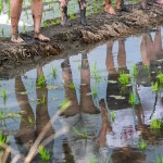感受大地的生命力，帶來溫柔的印記，農(nóng)作以風(fēng)味，記載了大自然不朽的魅力。