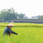 支持霧峰在地三代小農，友善耕作，堅持品質，嚴選品種，保留大地最純粹的溫柔。