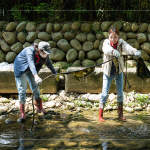 自發(fā)性參與的各部門同仁，踩著雨鞋、戴上手套，抓緊時間清理溪流垃圾，展現(xiàn)對環(huán)境保護的實踐。