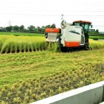 一粥一飯，當思來處不易，所扒進嘴裡的每一口飯，我們都能想見：此刻，樂天的農(nóng)民正以著最樸實的笑容，來迎接稻田每一天的欣欣向榮。