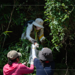 帶上夾子、爬上邊坡，草堆之間可以明確看到這些待清除的「不塑之客」，唯有仔細尋覓，才能還給河川與自然乾淨的家園。