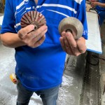 專業(yè)磨石材「造型師」登場(chǎng)！左邊的工具適合硬度較高的花崗巖，右邊則適合切割硬度較軟的大理石，儼然已經(jīng)摸清石材的脾氣與習(xí)性，不同石材也需要不同的工具處理。