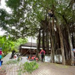 需擬定縝密的攀樹計(jì)畫、風(fēng)險(xiǎn)評估，配戴好各式攀爬裝備。安全第一!
感謝「樹沃客」專業(yè)團(tuán)隊(duì)。