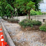 舊有人行道拆除工程，新業(yè)保留原有的樹穴，還給喬木更多的生長空間，美化的同時也善待環(huán)境。