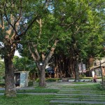 綠意盎然的臺中文學(xué)館，有近百株繁盛花草樹木，環(huán)繞日式時(shí)代的百年建築，有著說不完、道不盡的人文歷史，不妨親自巡禮一番。