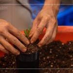 透過(guò)手的溫度，傳遞對(duì)自然環(huán)境的關(guān)懷，一棵樹(shù)是人與土地的連結(jié)，希望透過(guò)努力、堅(jiān)持與分享，讓臺(tái)灣『大肚山–淺山森林』恢復(fù)到應(yīng)有的自然樣貌與內(nèi)涵。