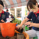 透過植樹活動落實減碳淨(jìng)零計畫，新業(yè)以實際行動展現(xiàn)對這片土地的關(guān)懷，為環(huán)境共生、守護(hù)生物多樣性而努力。