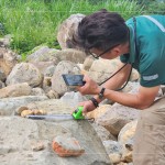 特別挑選顏色鮮豔的『黃金角石』，鋪墊後院生態(tài)水池的底部，即使是一顆顆石頭的規(guī)劃，也需要適居適所。