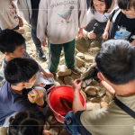 荒野保護協(xié)會總顧問-林笈克親臨現(xiàn)場，特地下溪捕撈小魚，有原生種鯽魚、吳郭魚、紅魔鬼等，不僅讓大小朋友認識牠們，也更加了解筏子溪的多元生態(tài)，並於結(jié)束時將這些小魚們放回屬於牠們的家園。