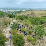 防火林帶建置—保留了野生樹種，種下榕屬植物，透過樹島的母樹大量逸散種子，長出野生樹苗，來加速森林演替、生生不息。