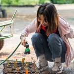 將分盆好的樹(shù)苗放置育苗方盤中，將這些剛搬新家的小樹(shù)苗們澆點(diǎn)水，後續(xù)統(tǒng)一放在中央培育區(qū)，慢慢長(zhǎng)大。