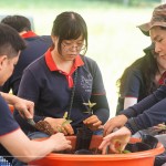 透過(guò)植樹(shù)活動(dòng)落實(shí)減碳淨(jìng)零的計(jì)畫，新業(yè)希望以行動(dòng)展現(xiàn)對(duì)這片寶島土地的關(guān)懷，齊心打造綠色永續(xù)環(huán)境。