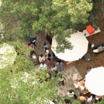 森林裡的春日漫遊，在陽(yáng)光下放鬆身心，沿著小徑慢慢散步，靜靜地為自己充電，收集生活中的簡(jiǎn)單美好。