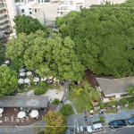 植物茂密繁盛，書香氣息瀰漫，1863坪內(nèi)的百年榕樹(shù)，樹(shù)大根深的高木，伴隨其他樹(shù)種，更顯綠意盎然的景致。