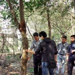 樹形整體飽滿度、分枝錯落的方向，360°觀看下是否皆能達成美的平衡等皆是新業(yè)選樹的考量。