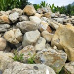 來自南投信義鄉(xiāng)的『塔塔加石』，外型紋理錯(cuò)綜分布、加上石材密度較高，不容易生長青苔，也是挑選景觀石頭的首選之一。