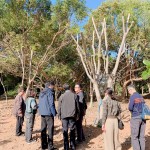 親自確認並檢查樹種的生長狀況，看葉片茂盛程度與樹形，彷彿能預見社區(qū)未來的質感一景。
